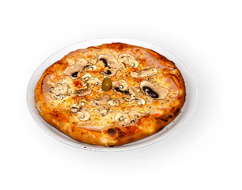 Capriciossa pizza