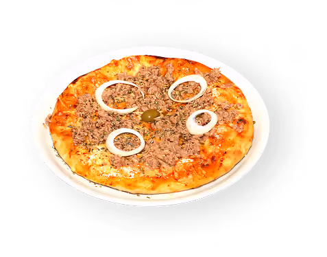 Tuna pizza